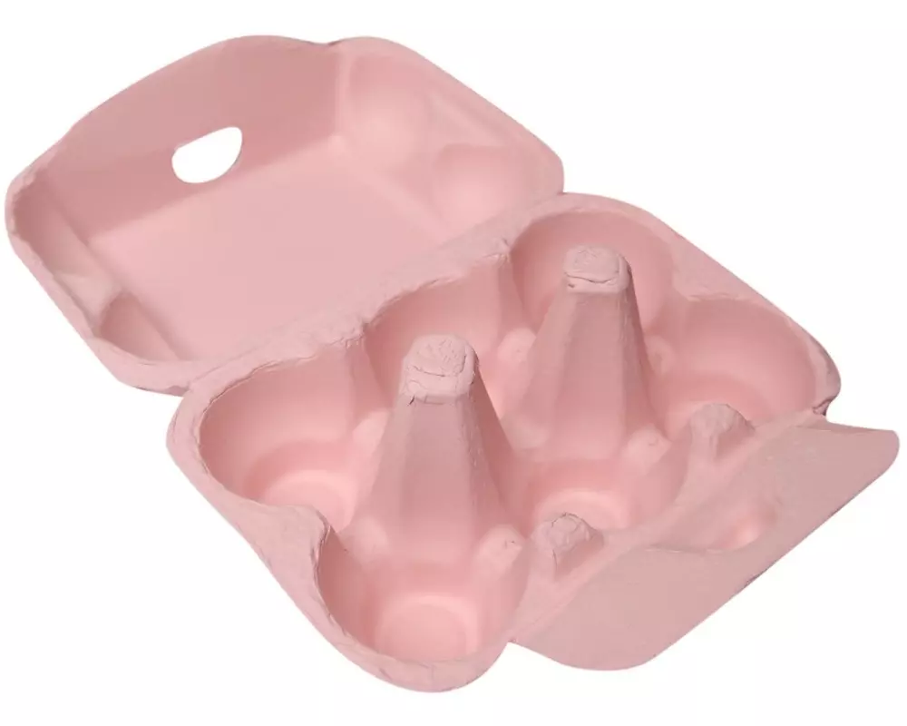 BackshopSchweiz Ostereier Karton 10 Stück, Rosa