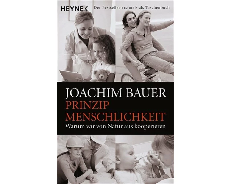 Prinzip Menschlichkeit