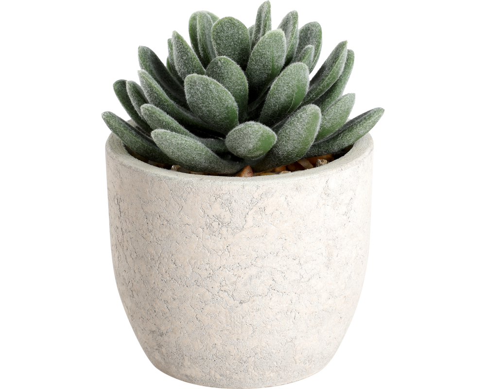 EGLO Kunstpflanze 11cm 428011 grün, im Topf