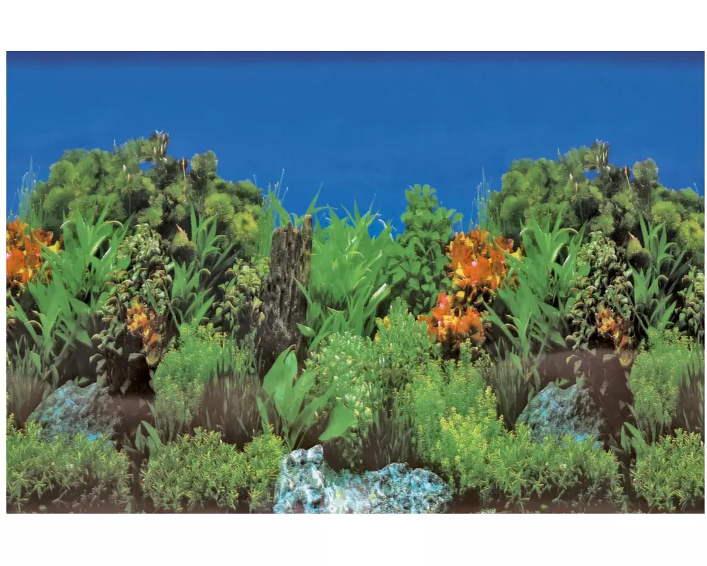 SuperFish Rückwandfolie Deko Poster B5 120 x 61 cm