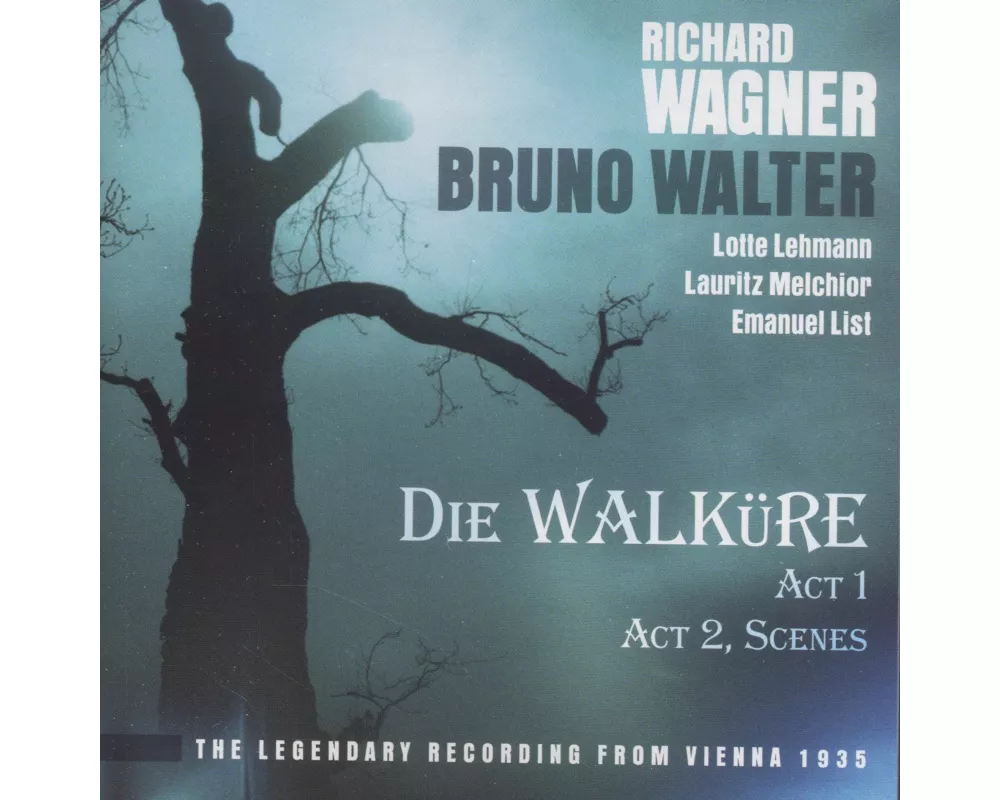 Wagner: Die Walküre, Act 1 ner Philharm
