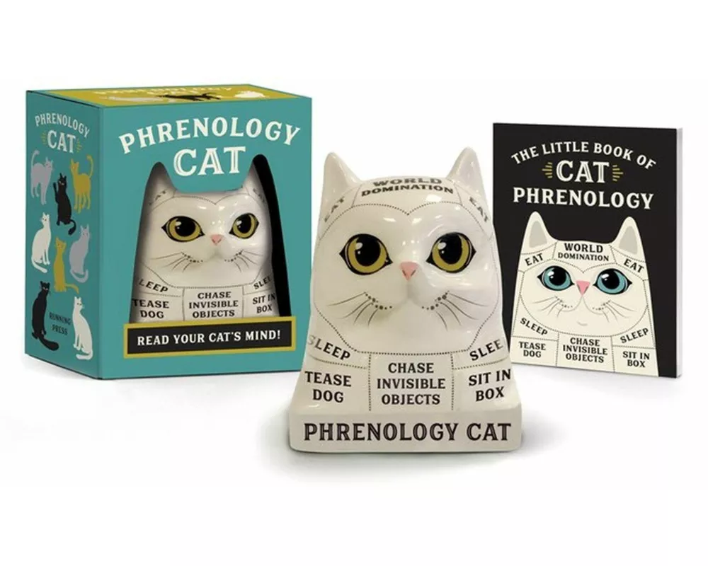 Phrenology Cat