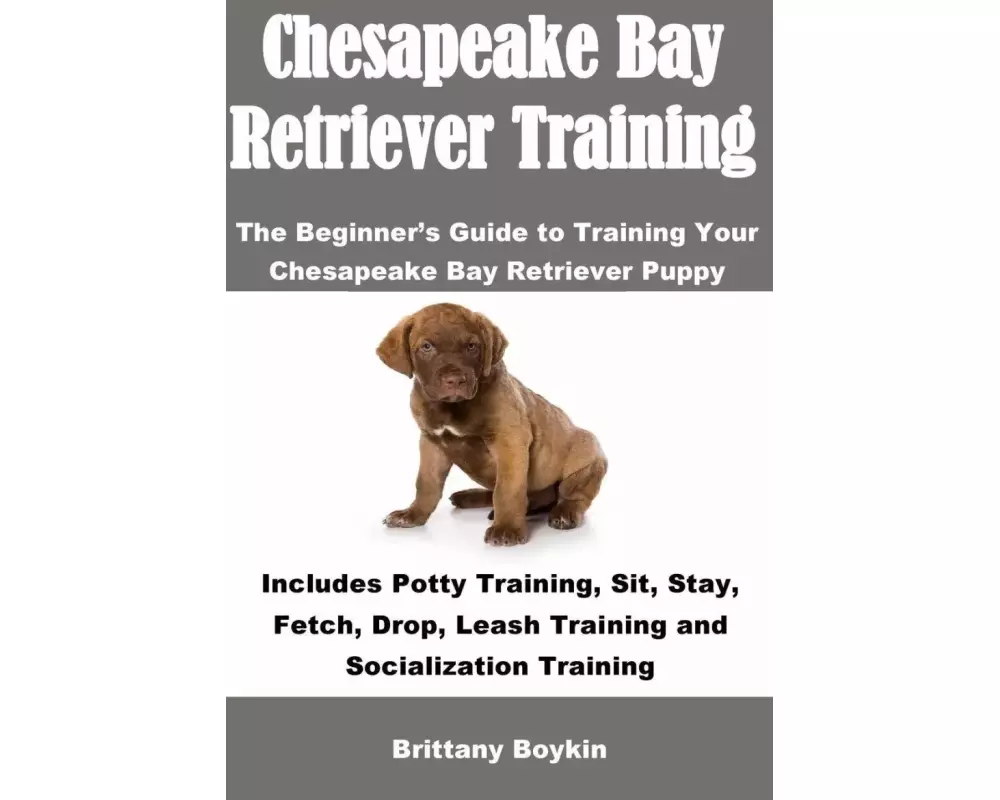 Chesapeake Bay Retriever Training