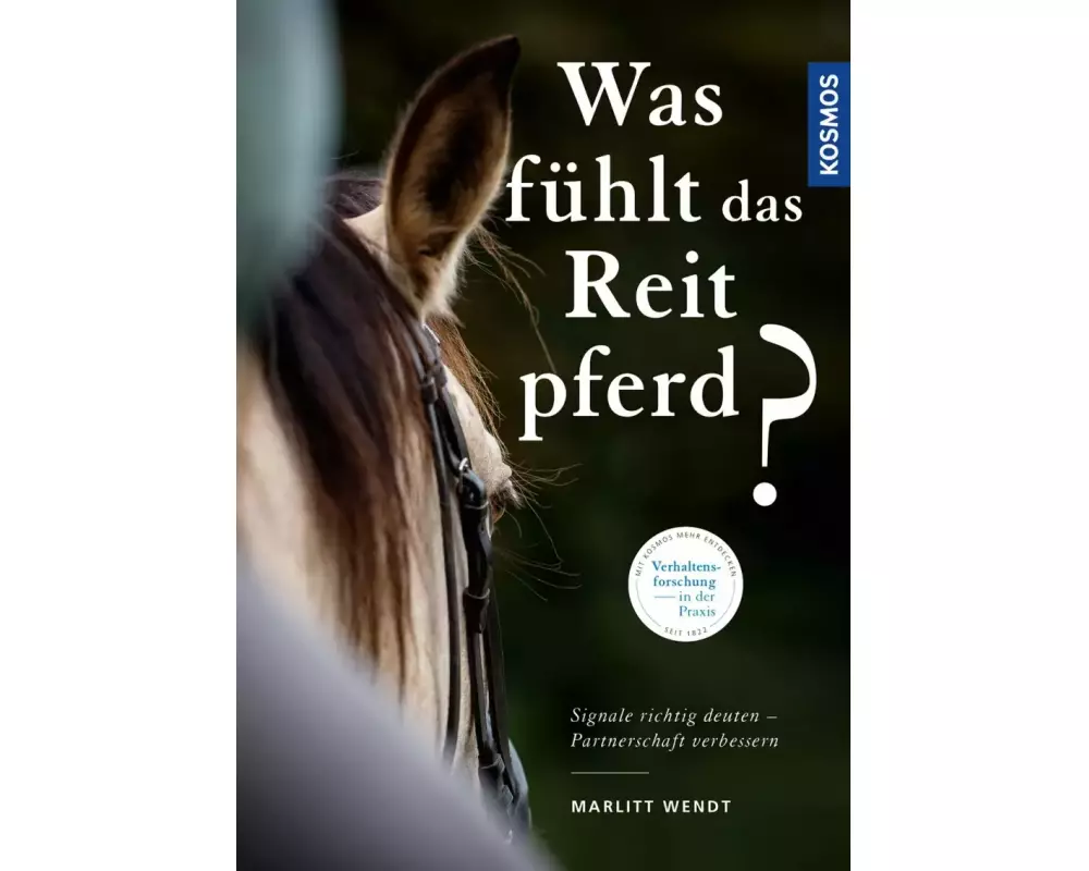 Was fühlt das Reitpferd?