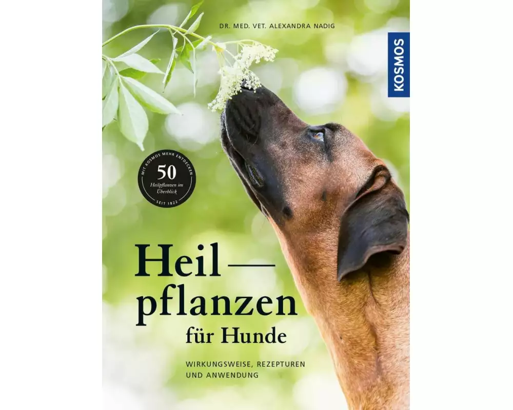 Heilpflanzen für Hunde