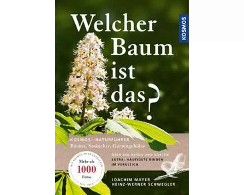 Welcher Baum ist das?