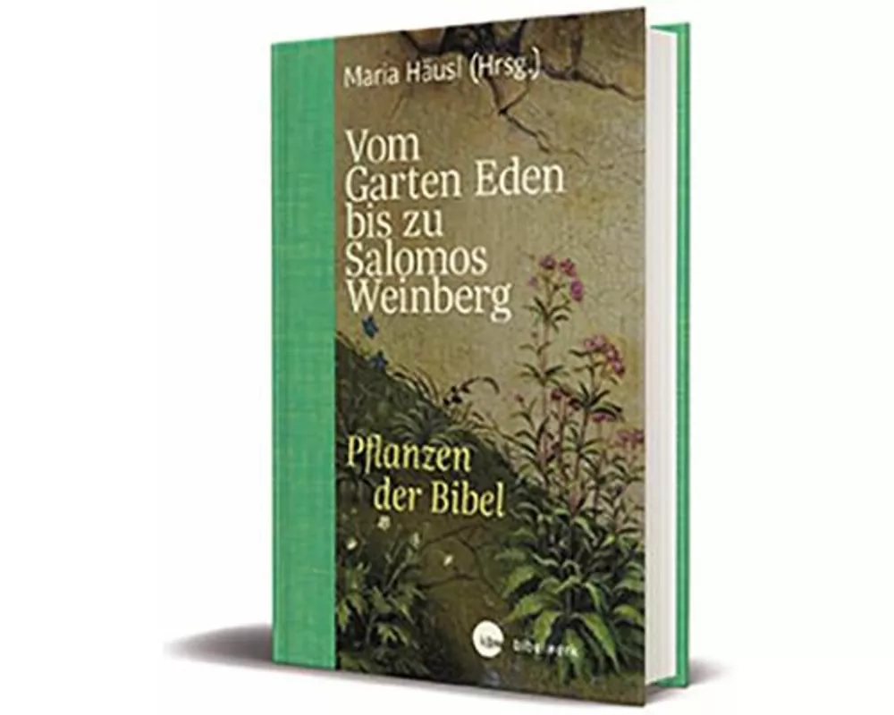 Vom Garten Eden bis zu Salomos Weinberg