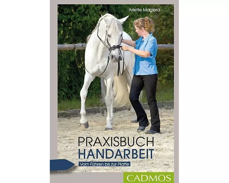 Praxisbuch Handarbeit