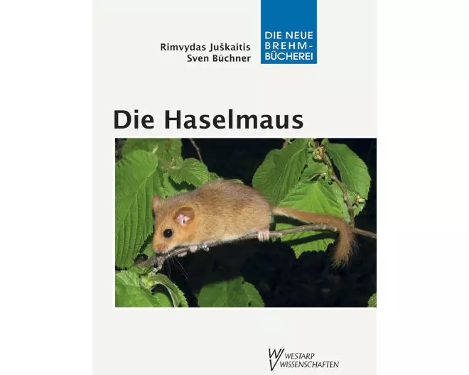 Die Haselmaus