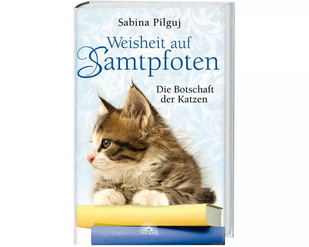 Weisheit auf Samtpfoten