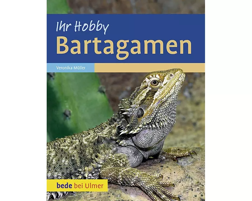Bartagamen