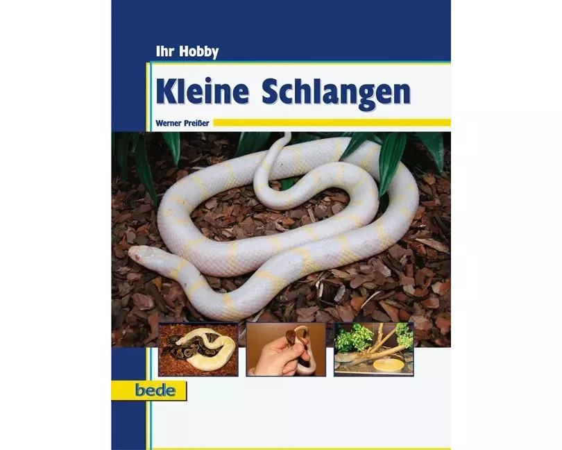 Ihr Hobby Kleine Schlangen