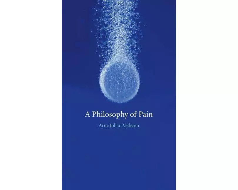 A Philosophy of Pain