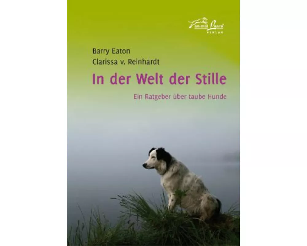 In der Welt der Stille