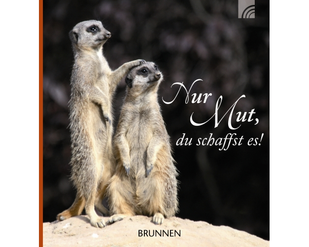 Nur Mut, du schaffst es!