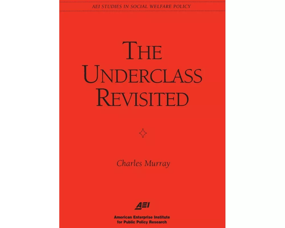 The Underclass Revisited