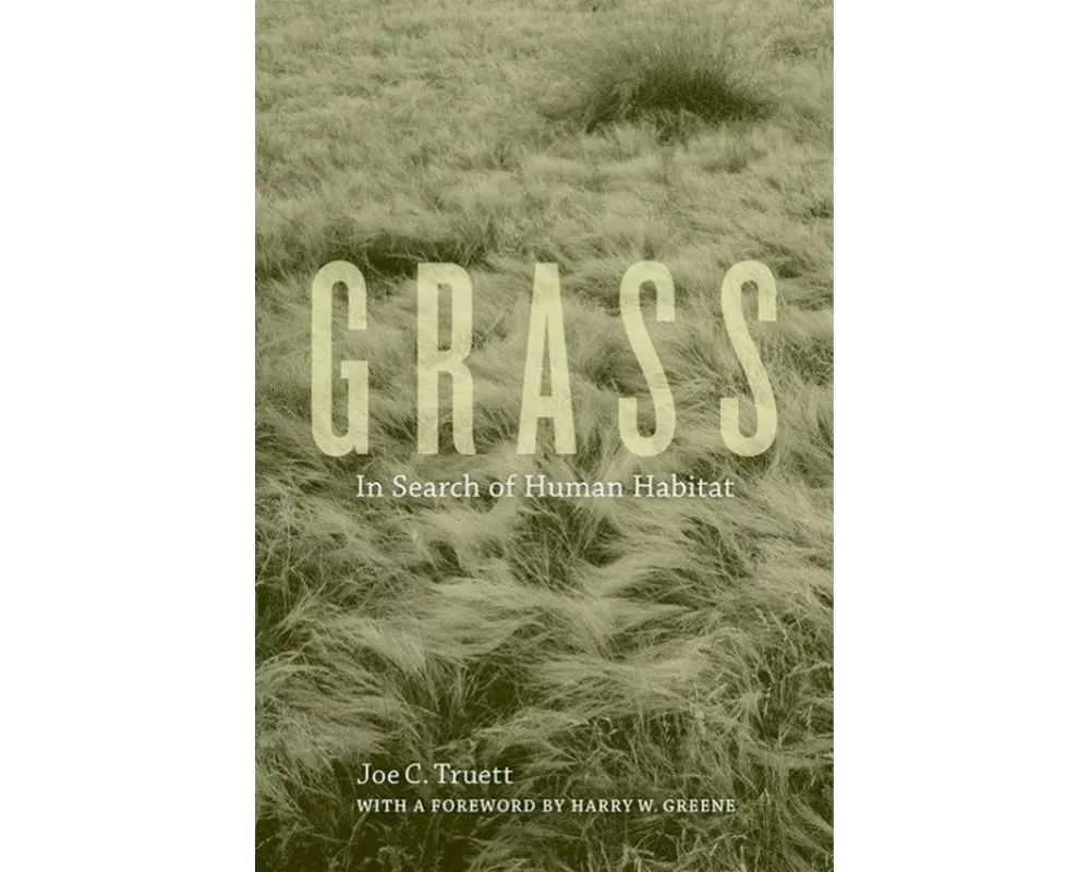 Grass