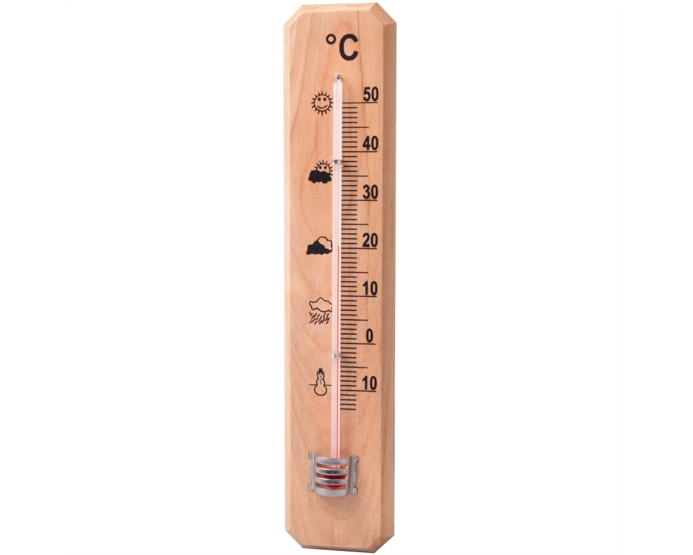 Technoline Temperaturanzeige WA 2020