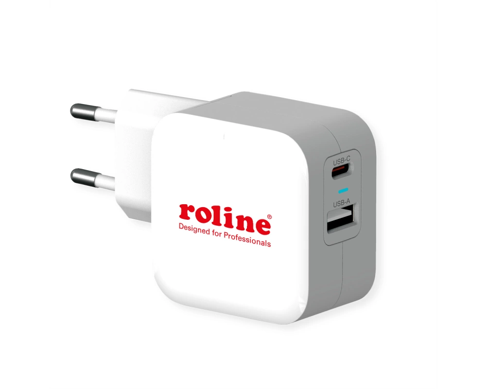 ROLINE USB Charger mit Euro-Stecker, 2 Port (Typ-A QC3.0, Typ-C PD), 38W