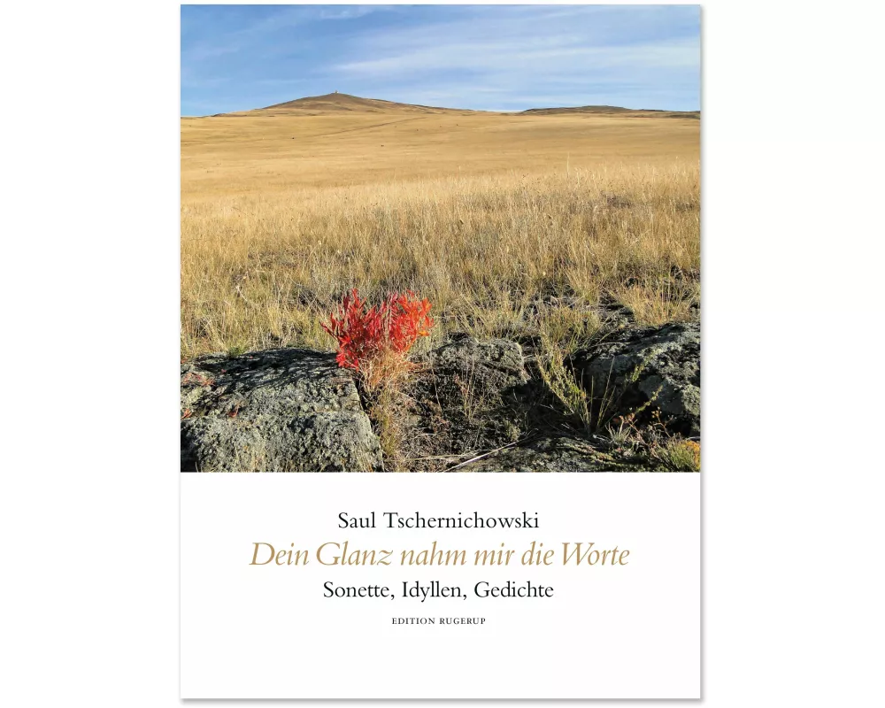 Dein Glanz nahm mir die Worte
