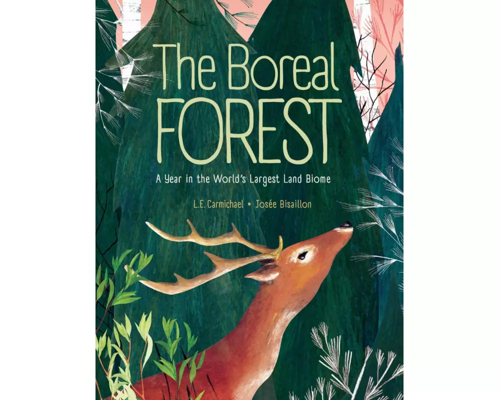 The Boreal Forest