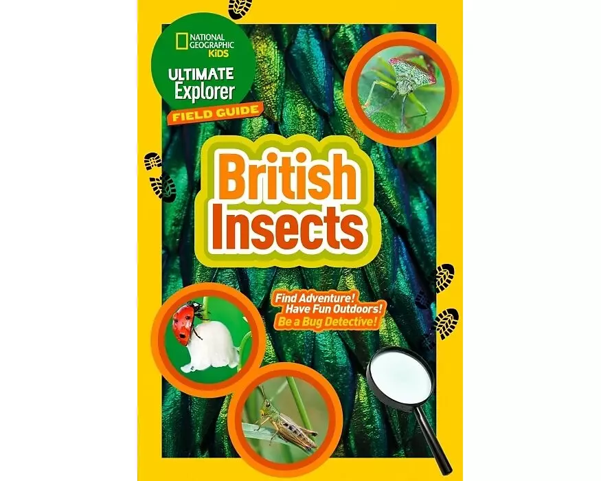 Ultimate Explorer Field Guides British Insects