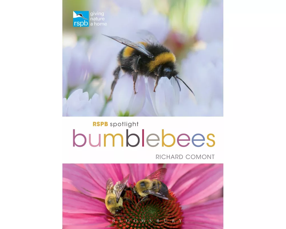 RSPB Spotlight Bumblebees