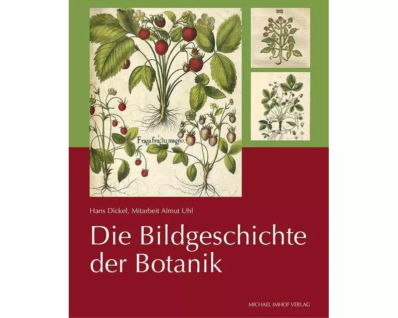 Die Bildgeschichte der Botanik