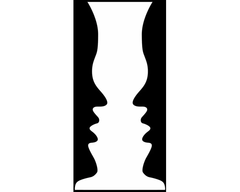The Sensory Illusions