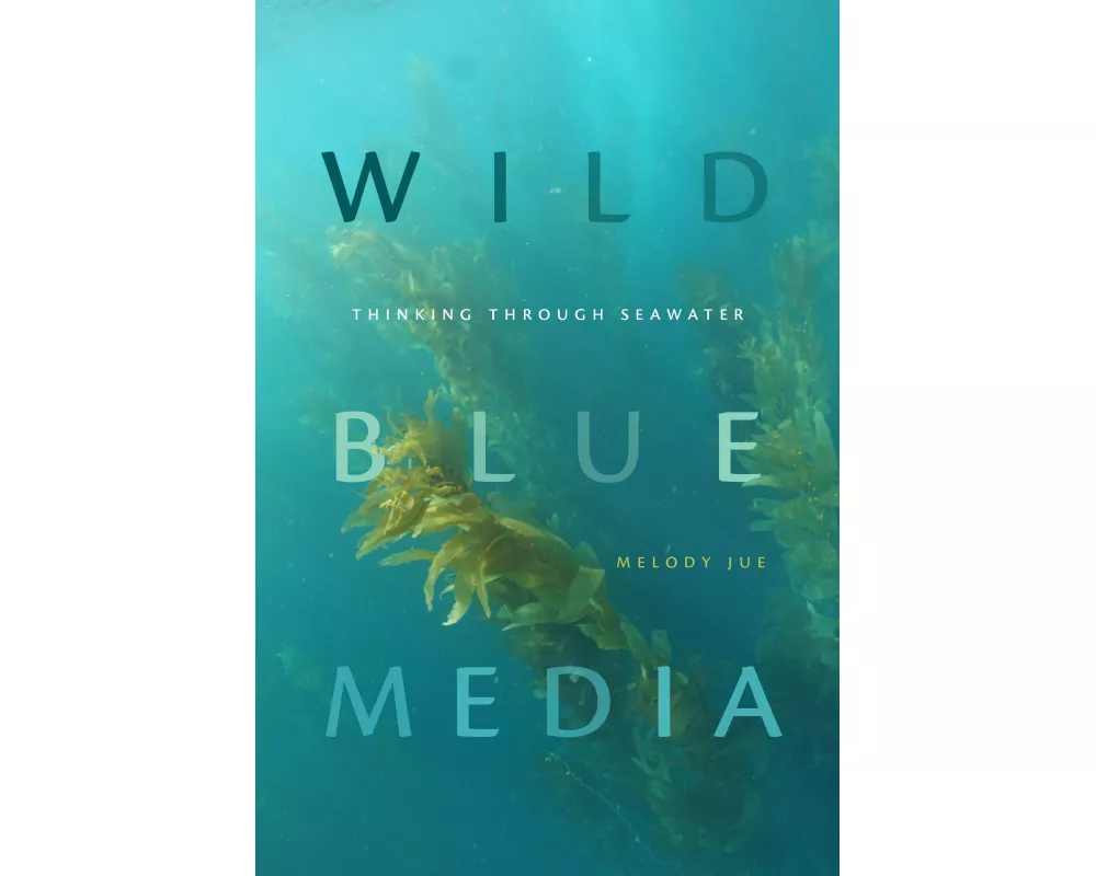 Wild Blue Media