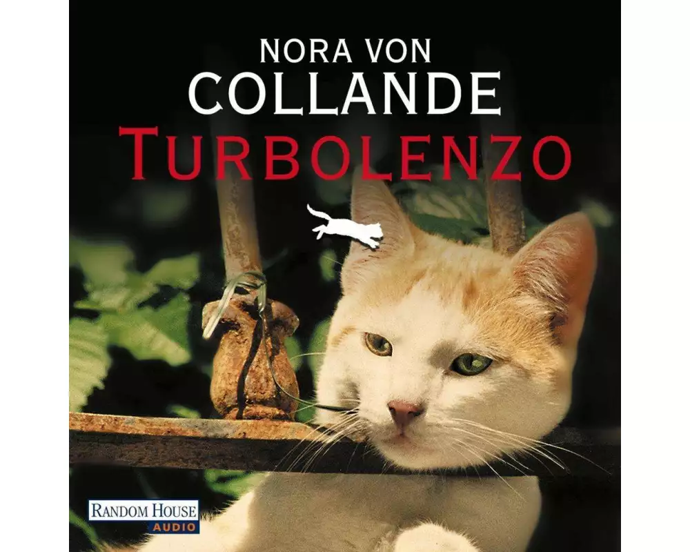 Turbolenzo