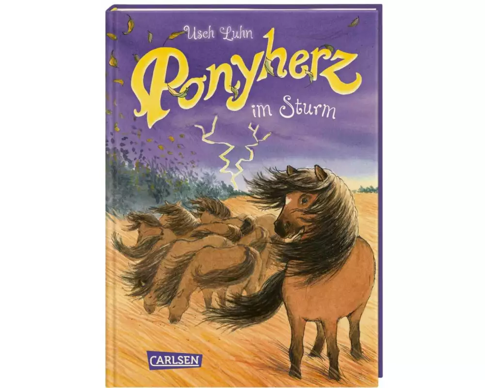 Ponyherz 14: Ponyherz im Sturm