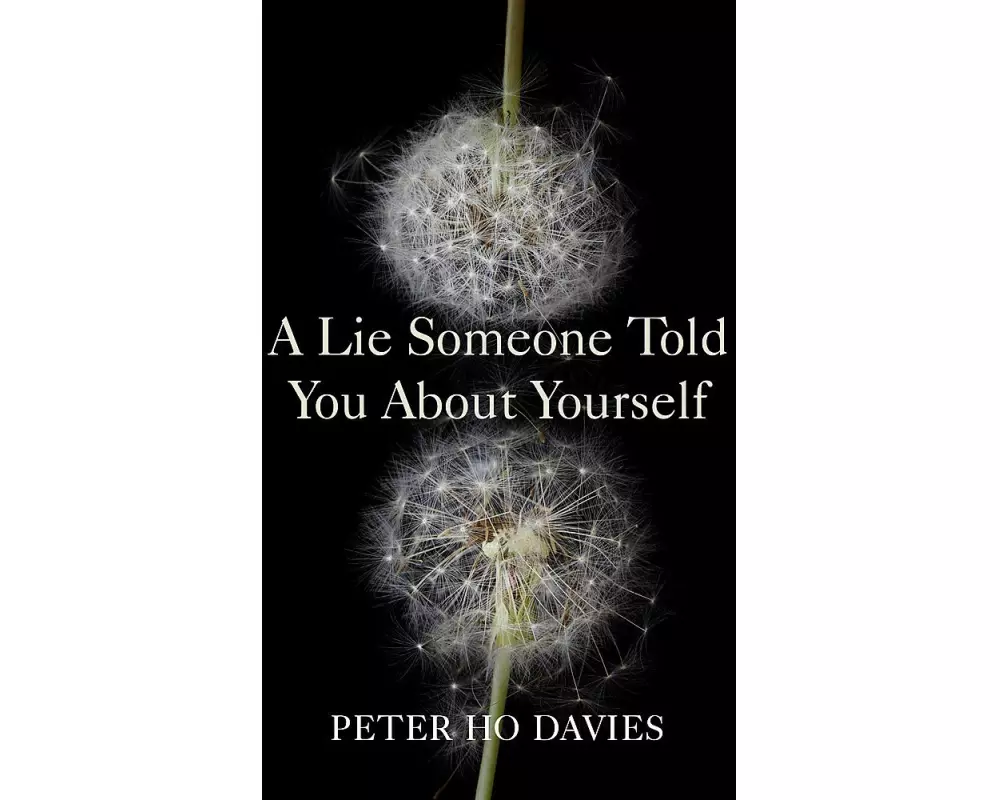 A Lie Someone Told You About Yourself