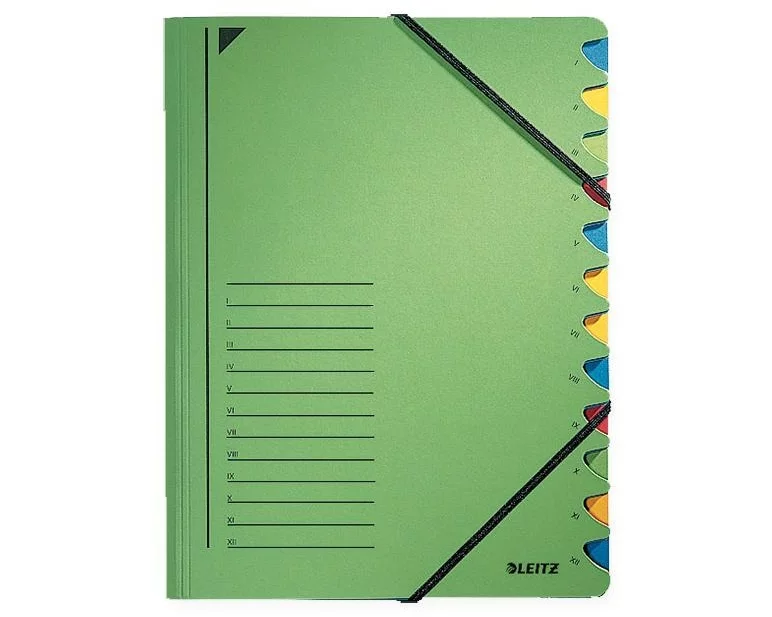 Leitz Ordnungsmappe Ordnungsmappe 12-teilig, Grün