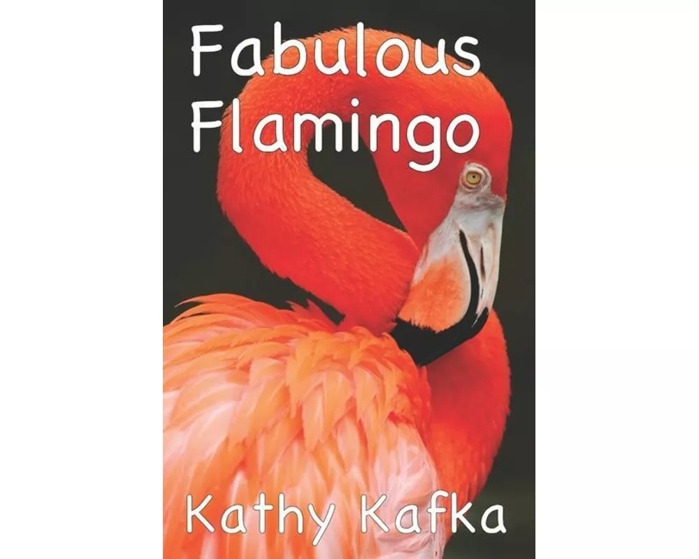 Fabulous Flamingo