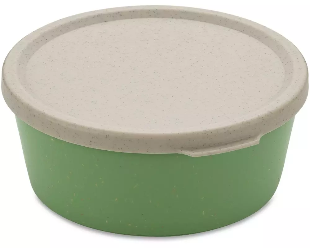 Koziol Vorratsbehälter Connect 0.89 l, Grün