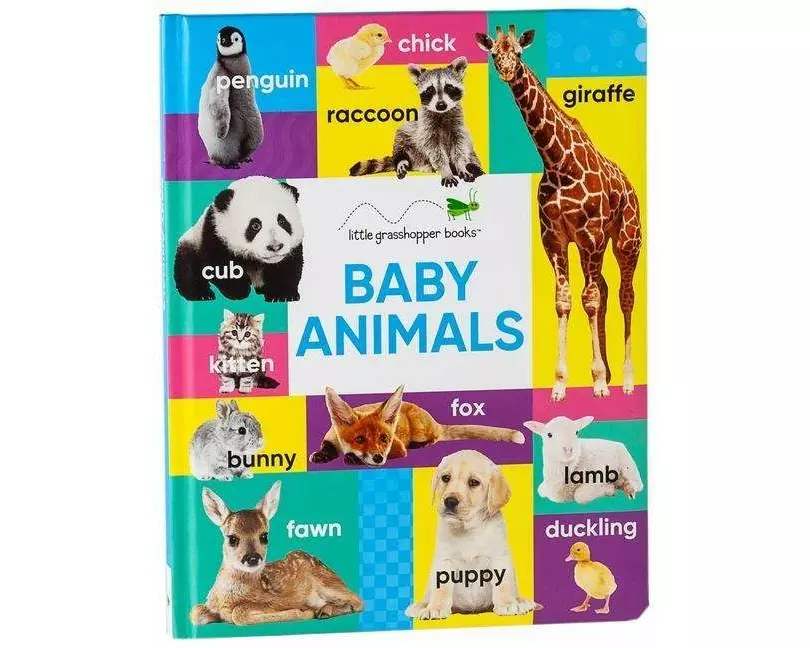 Baby Animals (Large Padded Board Book)