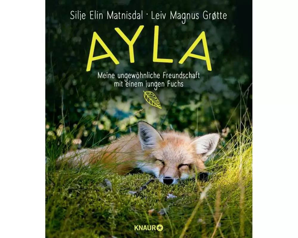 Ayla - meine ungewöhnliche Freundschaft mit einem jungen Fuchs