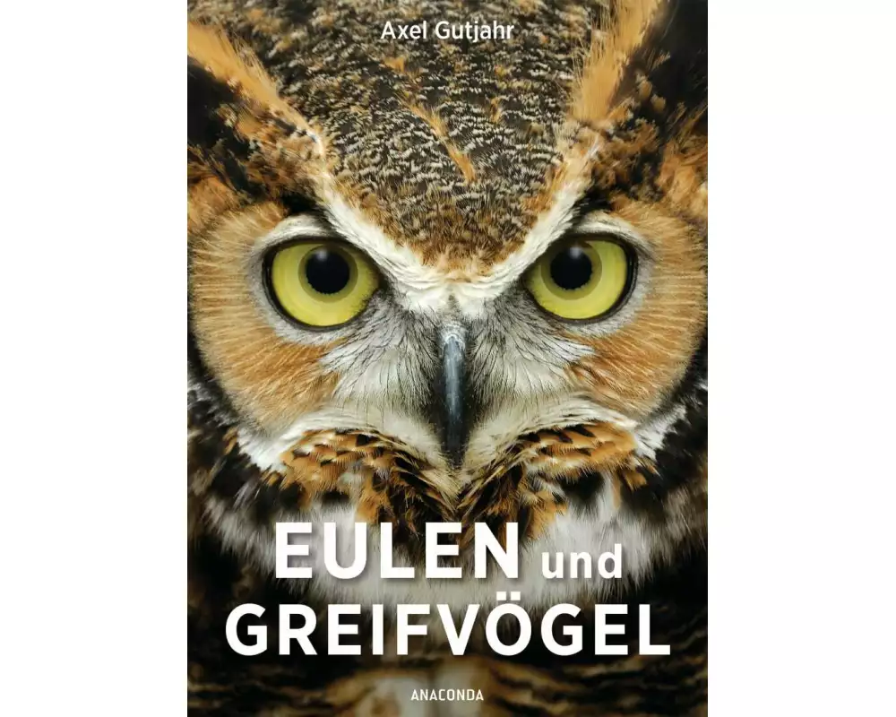 Eulen und Greifvögel