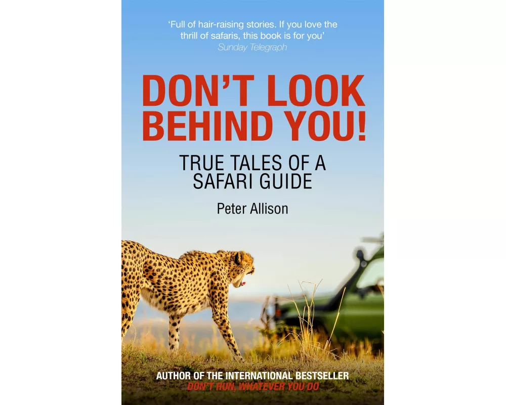 Don't Look Behind You!