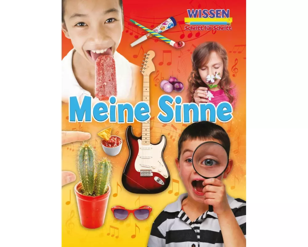 Meine Sinne