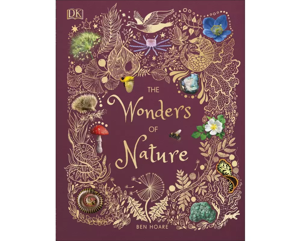 The Wonders of Nature