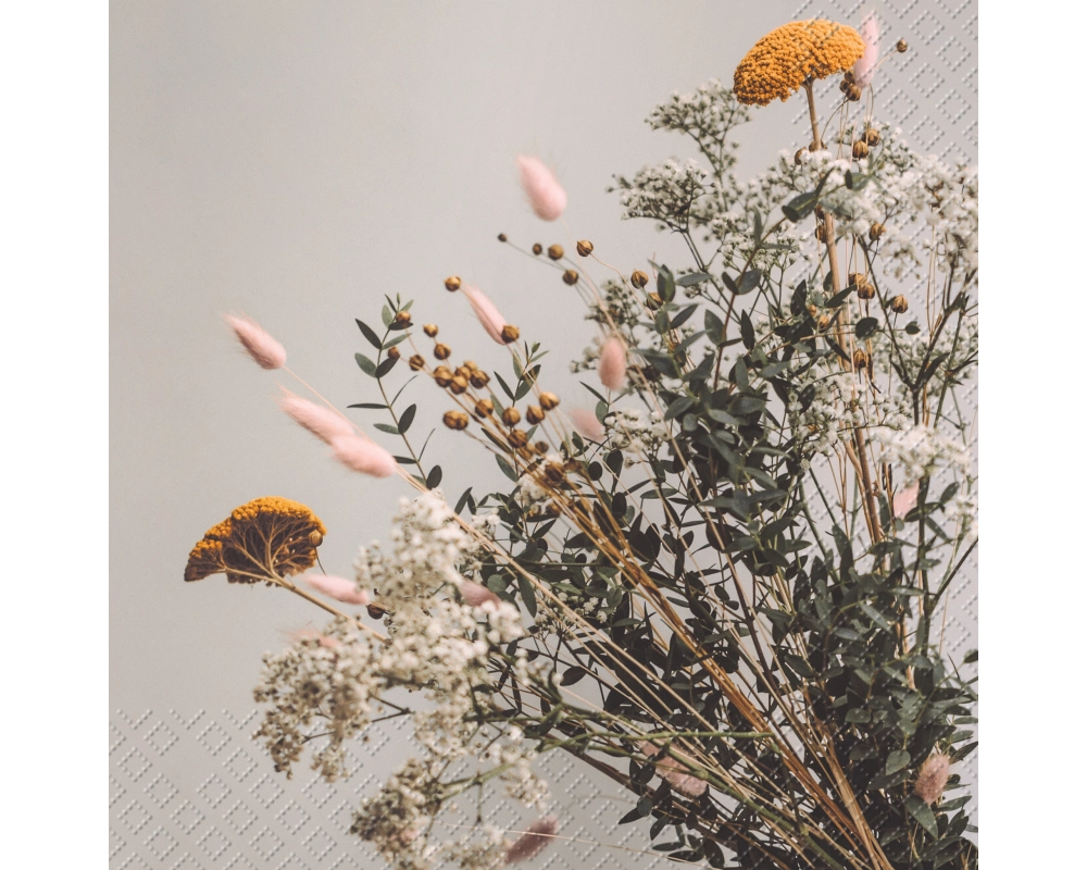 STEWO Serviette Linnie 2572529250 beige 33x33cm