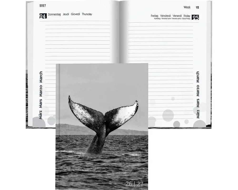 Biella Schulagenda mydiary 2026/27 Whale, 12 x 16.5 cm