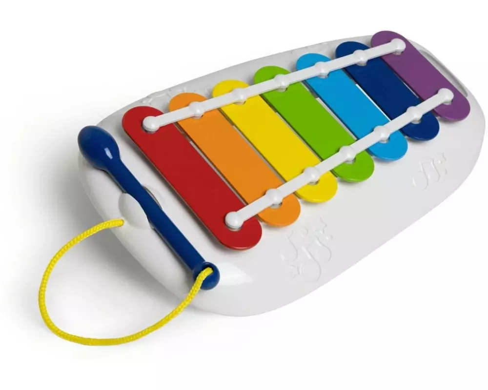 Chicco Musikspielzeug Mein erstes Xlophon