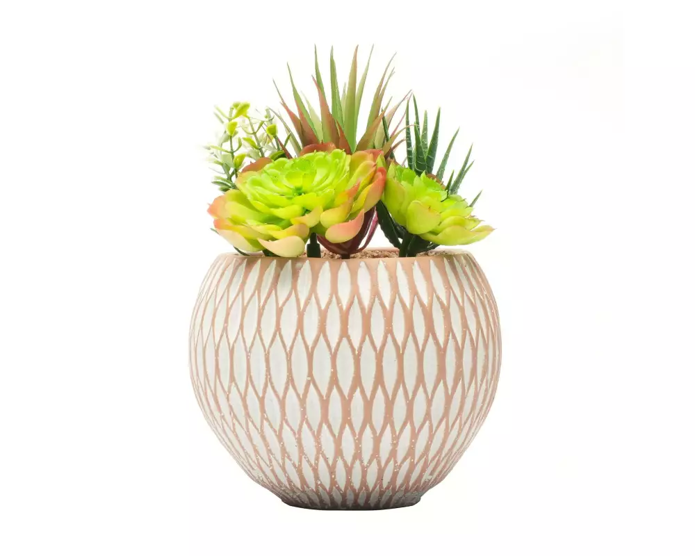Dameco Kunstpflanze Sukkulenten 22 cm, mit Topf