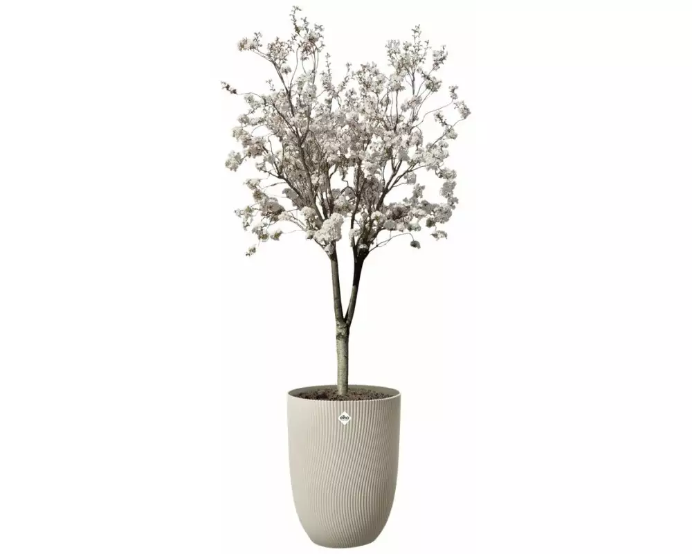 Elho Pflanzentopf Sereh Hoch 40 cm Beige