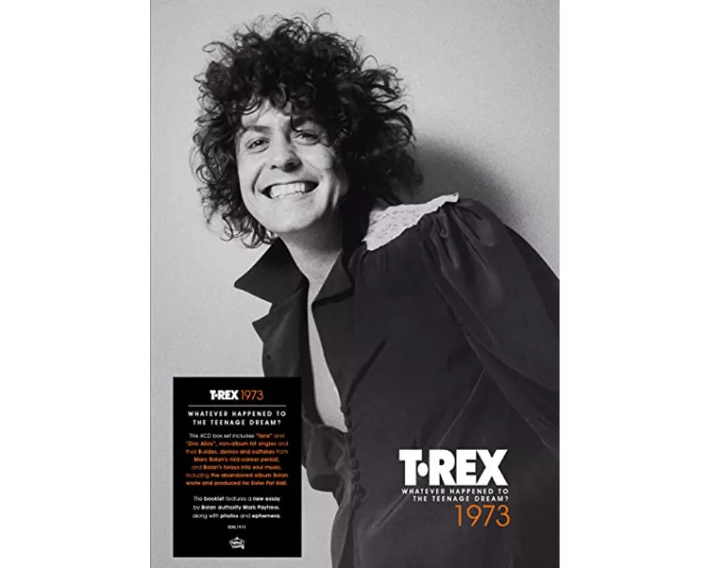 1973 - Whatever Happened To The Teenage Dream?