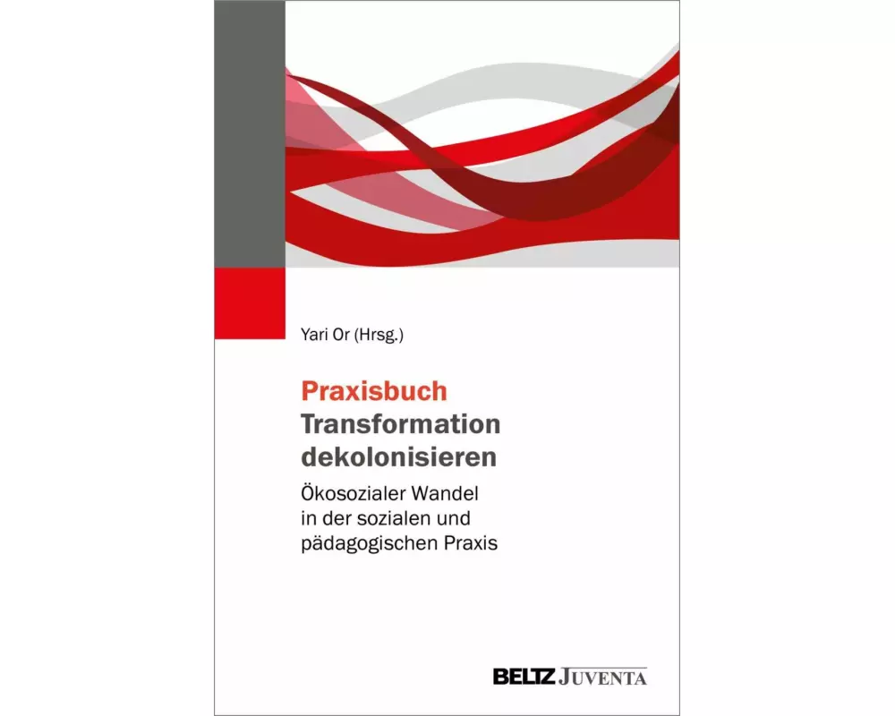 Praxisbuch Transformation dekolonisieren