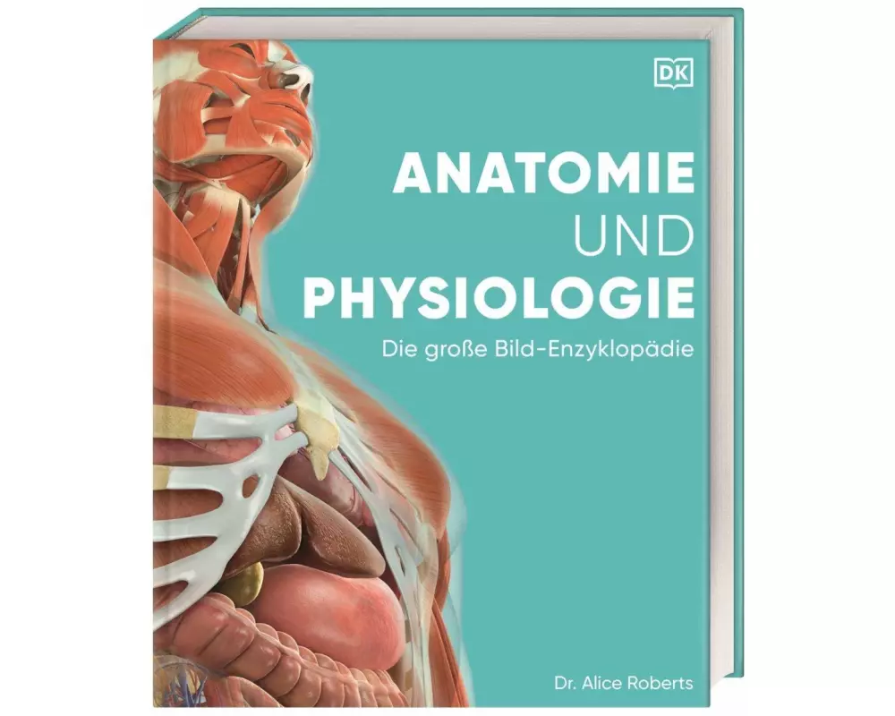 Anatomie und Physiologie